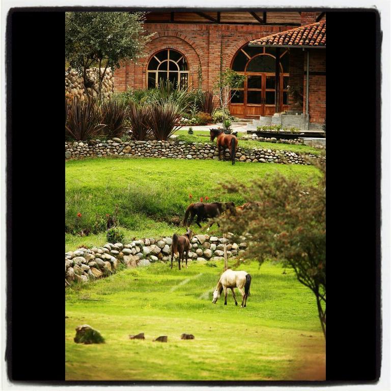 Hosteria Caballo Campana Куенка Екстериор снимка